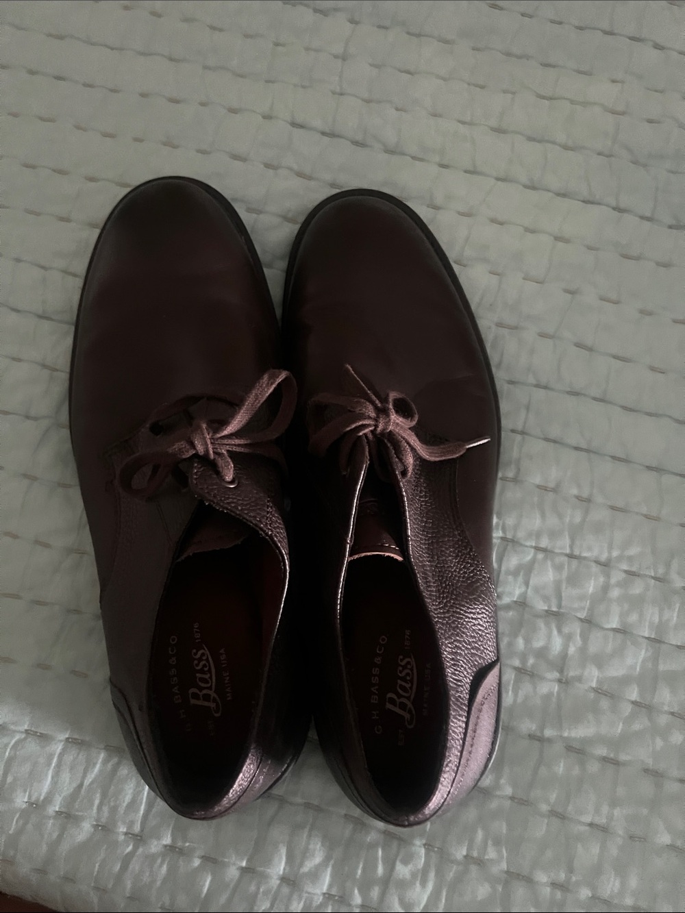 Bass Men's Oxfords in Dark Burgundy Brown